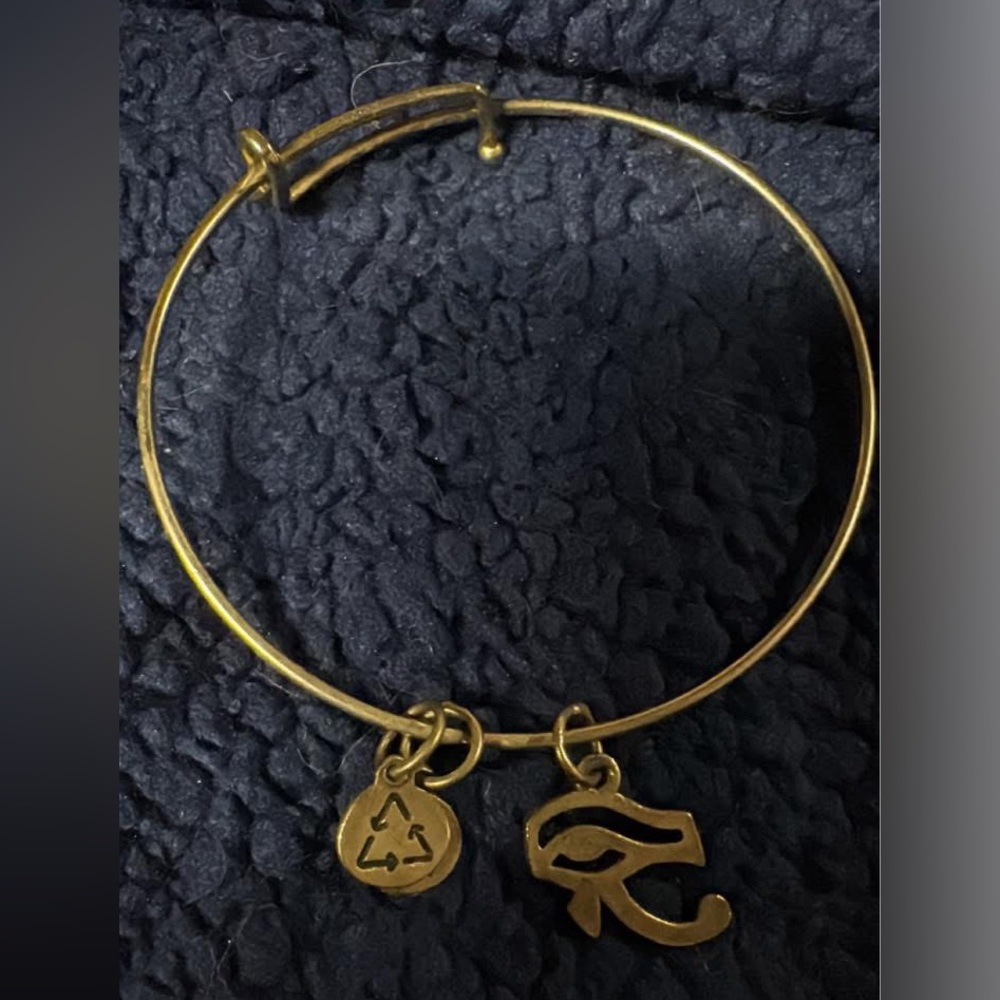Alex and Ani Gold Charm Bracelet with Eye of Horus